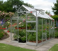Elite High Eave 6x10 Greenhouse - Horticultural Glazing