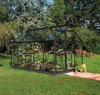 6x10 Black Halls Popular Greenhouse - Horticultural Glass