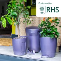 AutoPot Khloris Watering System - Blackberry