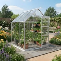 Elite High Eave 6x6 Greenhouse - Horticultural Glazing