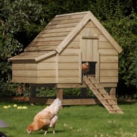 5x3 Chicken Coop Large