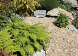 Decorative Stones and Gravel