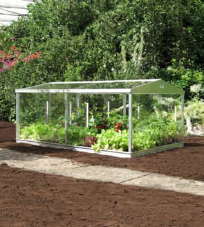 6x4 Access Coldframe Toughened