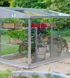 2x4 Access Half Growhouse Toughened