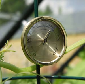 Vitavia Hygrometer