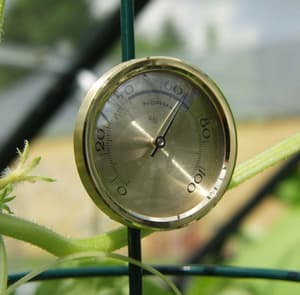 Vitavia Hygrometer