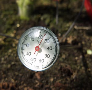 Vitavia Soil Thermometer