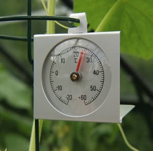 Vitavia Thermometer