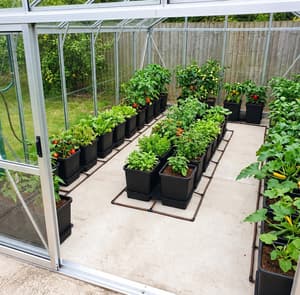 Automatic Watering System Starter Kit for 8x10