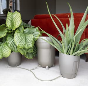 AutoPot Khloris Watering System Metallic Sage