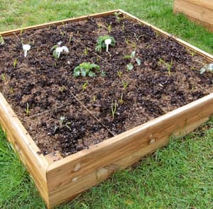 Access 4x4 Raised Wooden Bed Kit