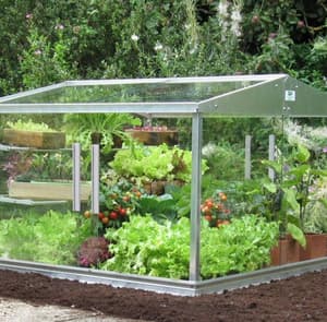 4x4 Access Coldframe Toughened