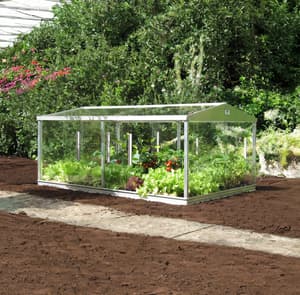 6x4 Access Coldframe Toughened