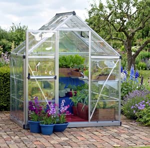 Palram Canopia Harmony 6x4 Silver Clear Poly