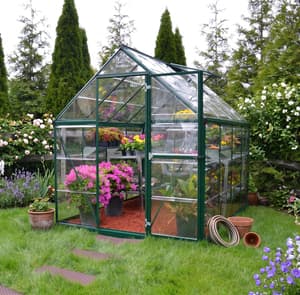 Palram Canopia Harmony 6x8 Green Clear Poly
