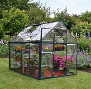 Palram Canopia Harmony 6x8 Grey Clear Poly