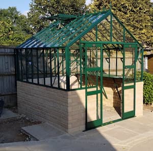 Elite Thyme 8x8 Dwarf Wall Toughened 