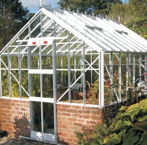 Elite Thyme 8x20 Dwarf Wall Toughened 