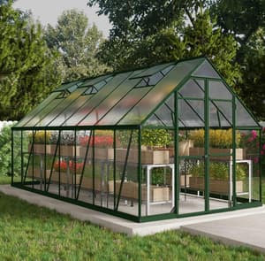 Palram Canopia Balance 8x16 Green Polycarbonate