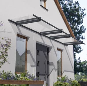 Palram Canopia Nancy 4100 Grey Clear Door Canopy
