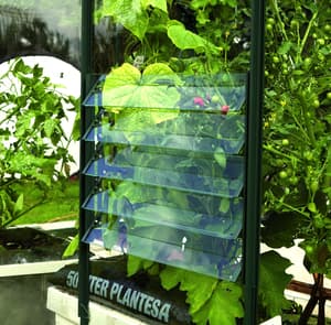 Vitavia 5 Blade Louvre Window (Green)