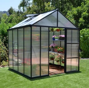 Palram Canopia Glory 8x8 Poly