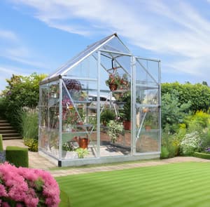 Palram Canopia Harmony 6x4 Silver Clear Poly