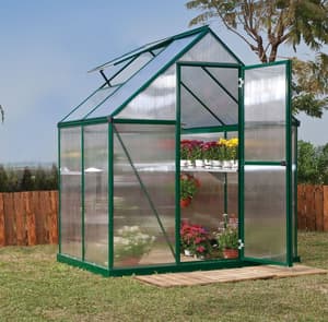 Palram Canopia Mythos 6x4 Green Poly