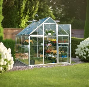 Palram Canopia Harmony 6x8 Silver Clear Poly