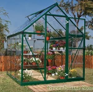 Palram Canopia Harmony 6x6 Green Clear Poly