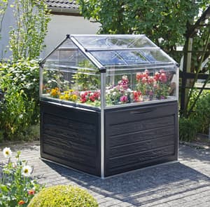 Palram Canopia Plant Inn 4x4 Raised Cold Frame