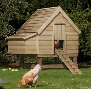 5x3 Chicken Coop Large