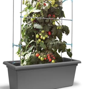 Gardenico Magnus Self Watering Living Wall Kit 800mm Stone Grey