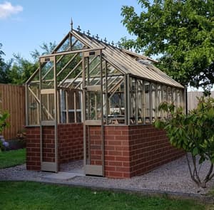 Elite Thyme 6x6 Dwarf Wall Toughened 