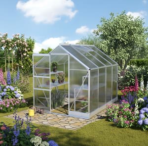 Vitavia 8x6 Apollo 5000 Poly 