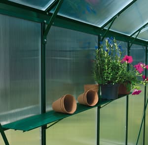 Vitavia Green Shelf