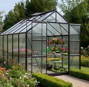 Vitavia 8x10 Black Jupiter 8300 Poly 