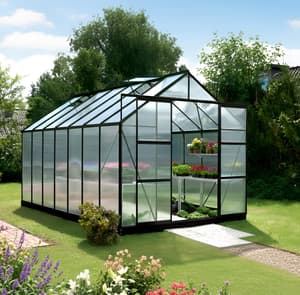 Vitavia 8x14 Black Jupiter 11500 Poly 