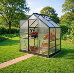 Vitavia 6x4 Green Venus 2500 Poly 