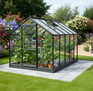 Vitavia 6x10 Black Venus 6200 