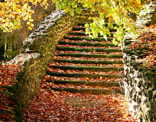 Autumn to Winter