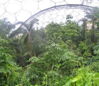 Humid Greenhouse