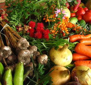Ecologically grown vegetables
