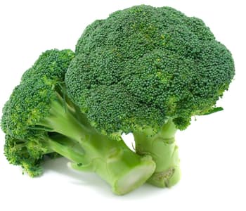 Broccoli