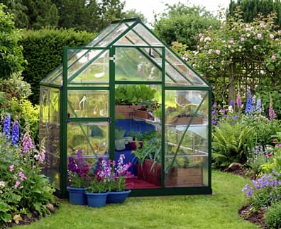 Palram Canopia Harmony 6x4 Green Clear Poly