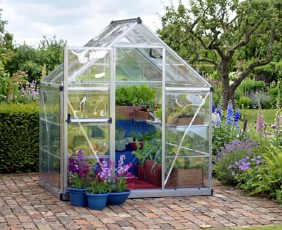 Palram Canopia Harmony 6x4 Silver Clear Poly