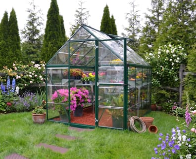 Palram Canopia Harmony 6x8 Green Clear Poly