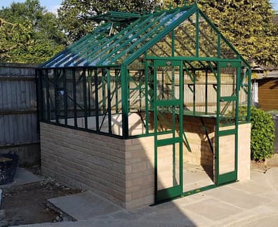 Elite Thyme 8x8 Dwarf Wall Toughened 