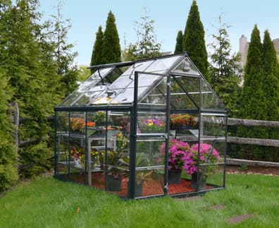 Palram Canopia Harmony 6x8 Grey Clear Poly