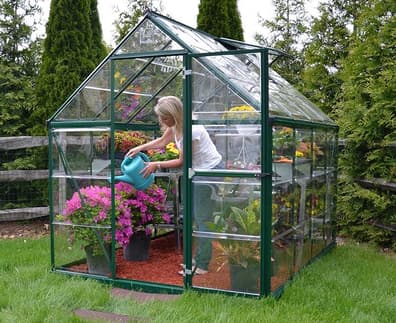 Palram Canopia Harmony 6x8 Green Clear Poly